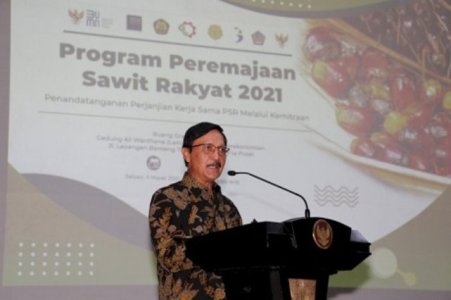 BPDKS Targetkan 540 Ribu Hektar Hingga Tahun 2022