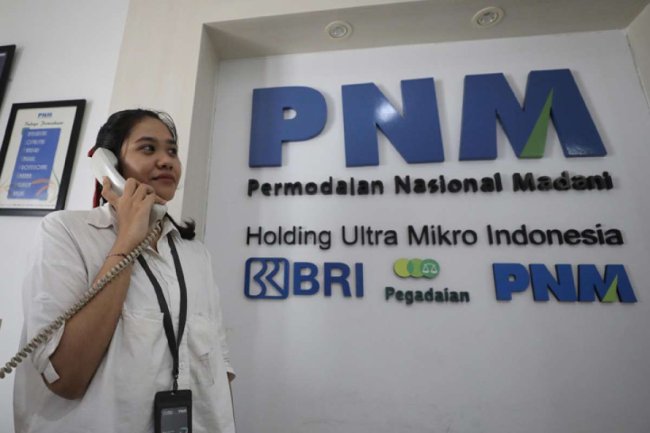 PNM,Direkturutamapnm