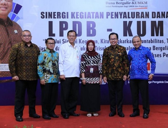 Direktur Bisnis LPDB KUMKM Krisdianto 