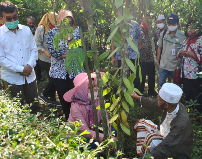 Menteri Pertanian RI Syahrul Yasin Limpo