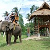 Sensasi Nunggang Gajah di Taman Wisata Lembah Hijau