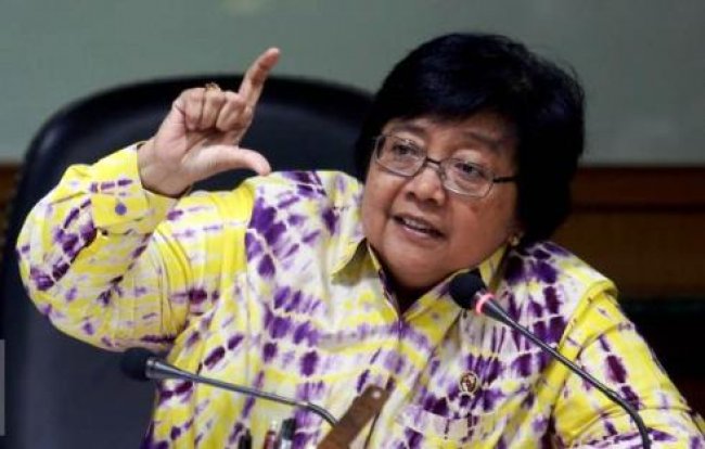 Diduga Lahan di Riau Sengaja Dibakar, Menteri Siti Lapor Presiden