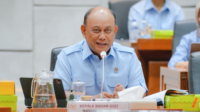 badangizinasional