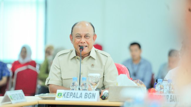 Dadan,badangizinasional