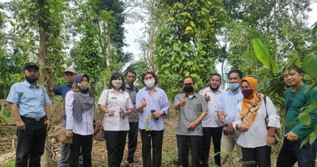 HendratmojoBagusHudoroDirekturTanamanSemusimdanRempah