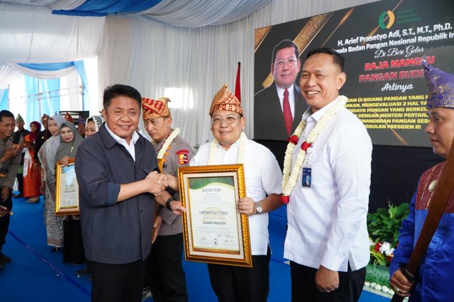 NFA,BadanpanganNasional,Bapanas