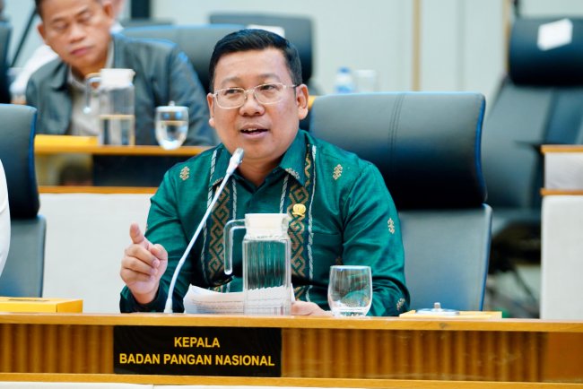 Anggaran Ketahanan Pangan 2026, Konsistensi Pemerintah Jalankan Program SPHP
