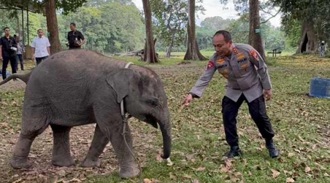 Kapolda Riau Patroli TWA Buluh Cina, Perkuat Green Policing dan Wisata Alam