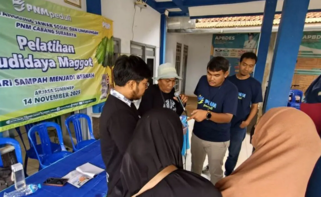 PNM Surabaya Dorong Ekonomi Hijau Lewat Budidaya Maggot di Arjasa