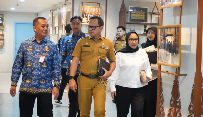 Anggaran Rp20 Triliun dari Danantara untuk Membiayai Peternak Ayam