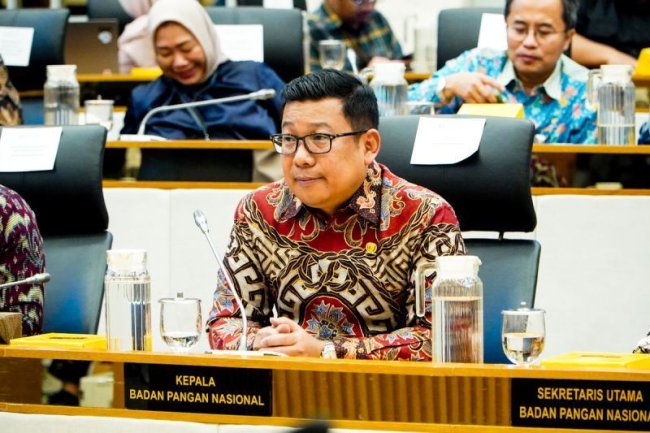 Penganggaran Terencana, NFA Usulkan 16,10 Triliun untuk Perkuat Ketahanan Pangan Nasional 2026