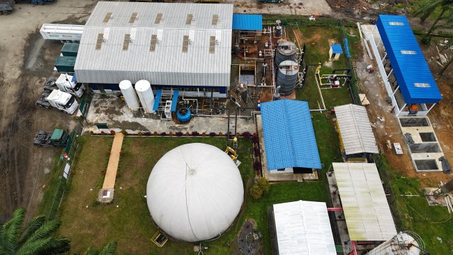  Perdana! Limbah Sawit Jadi Listrik: Kado Spesial PLN untuk HUT RI ke-80