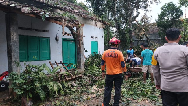 BNPB Catat Peningkatan Cuaca Ekstrem di Sejumlah Daerah, Warga Diminta Waspada