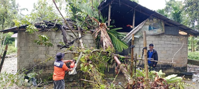 BNPB Catat Sejumlah Bencana di Sumatera Utara dan Jawa Tengah, Masyarakat Diminta Waspada