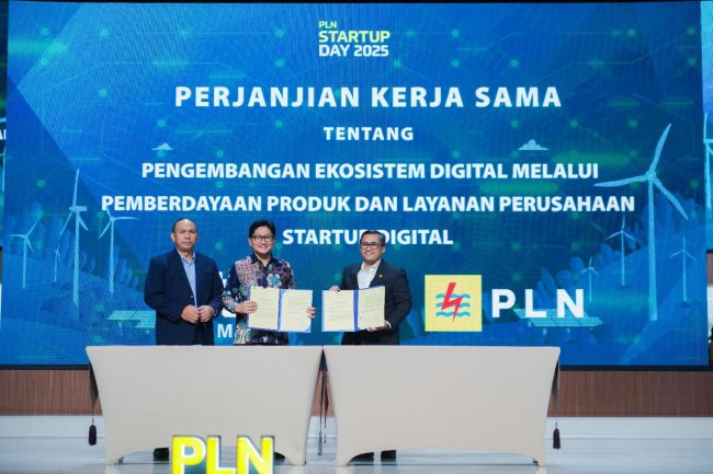 Pln