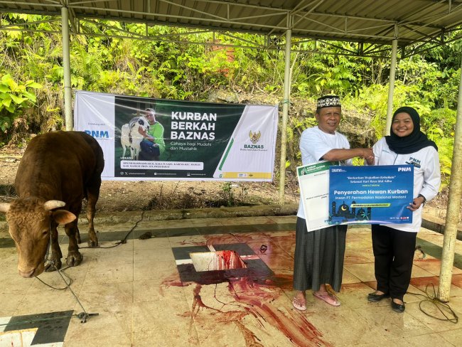 Kolaborasi PNM dan BAZNAS Salurkan Hewan Kurban untuk Masyarakat 3T