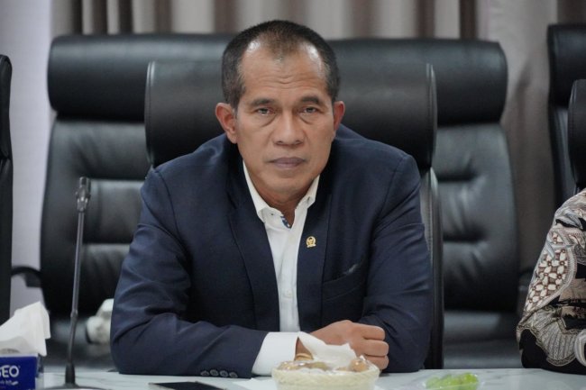 Capai Realisasi Sangat Tinggi,  Komisi IV DPR Apresiasi Badan Pangan Nasional