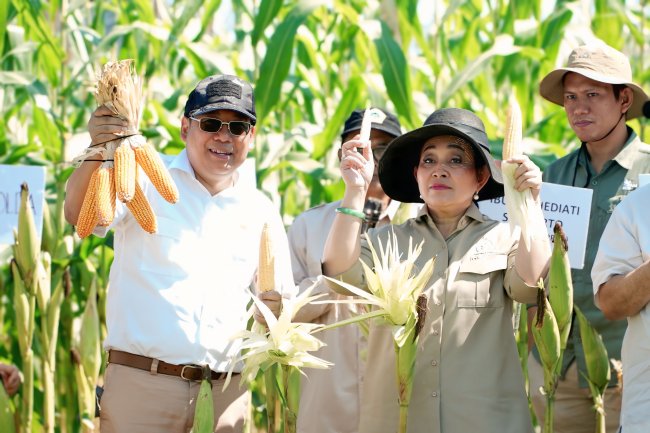 Jogja Benih Expo, Badan Pangan Nasional Bantu Jaga Harga Petani Jagung