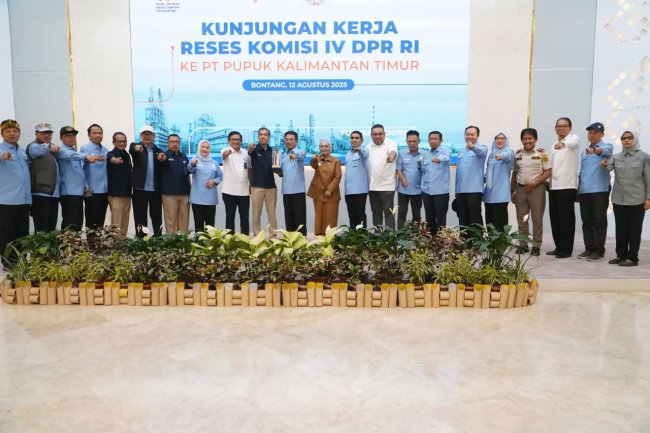 NFA Dorong Optimalisasi Distribusi Pupuk Subsidi Dukung Swasembada Pangan Nasional 