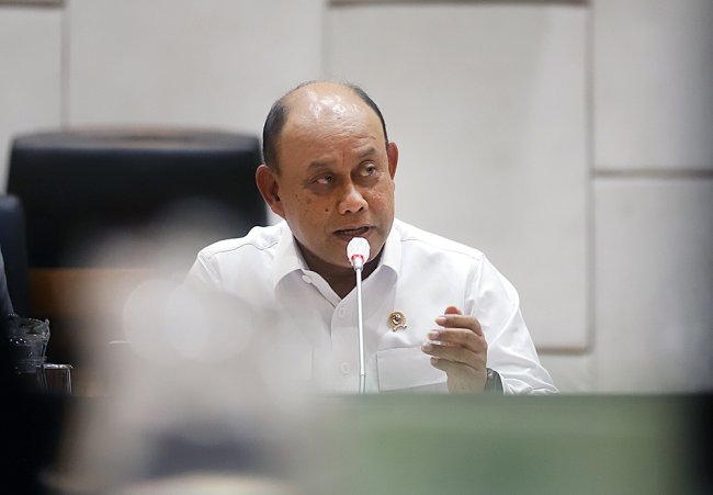 badangizinasional,bgn,dadan