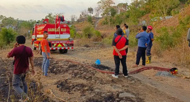 BNPB Catat Karhutla dan Angin Kencang Warnai Laporan Harian Bencana